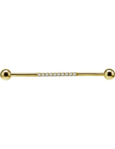 BARBELL INDUSTRIEL EN GOLD...