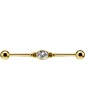 BARBELL INDUSTRIEL EN GOLD...